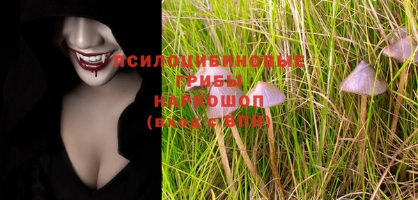 mdpv Бородино