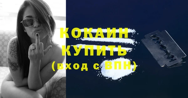 mdpv Бородино