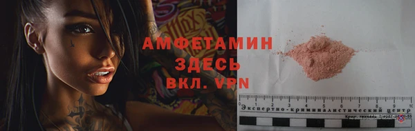 mdpv Бородино