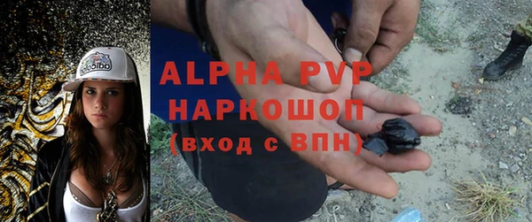 mdpv Бородино