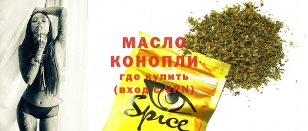 mdpv Бородино